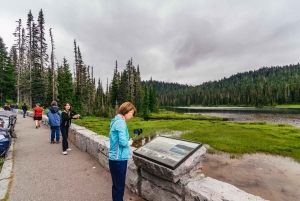 Fra Seattle: Guidet tur til Mount Rainier National Park