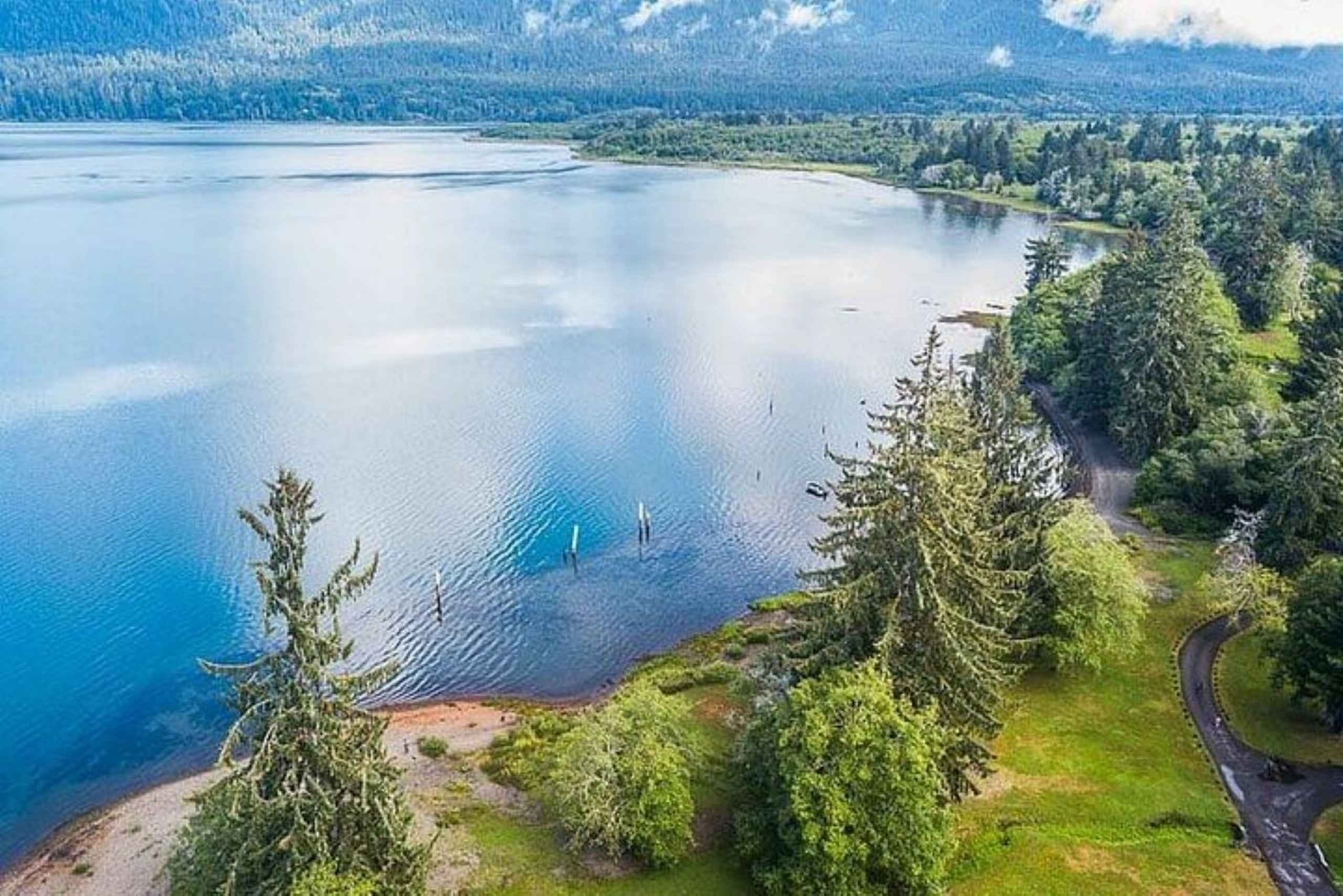 シアトル発：オリンピック国立公園 1 日ツアー