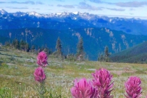 シアトル発：オリンピック国立公園 1 日ツアー