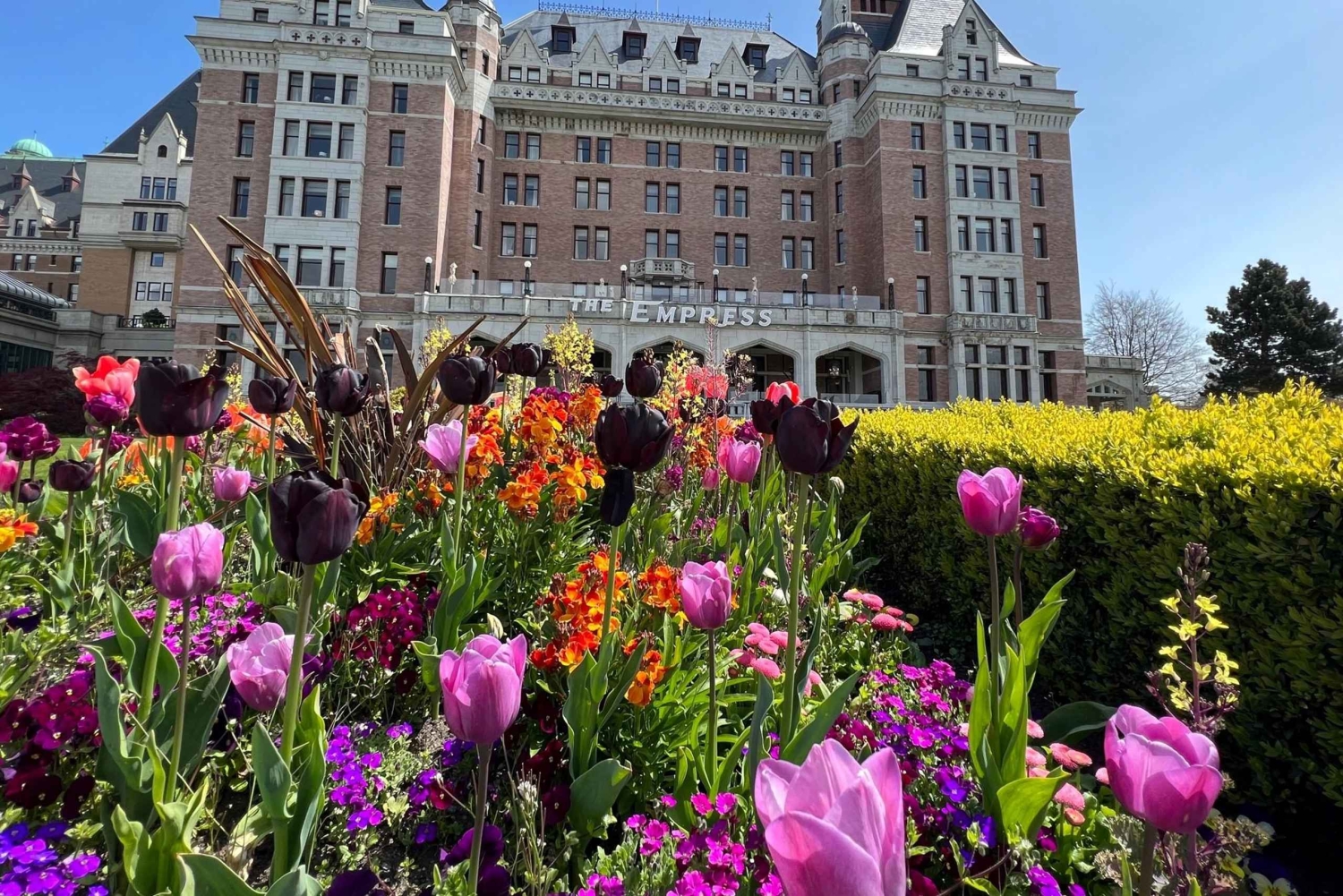 Von Seattle: Einfache Fahrt mit der High-Speed-Fähre nach Victoria, BC