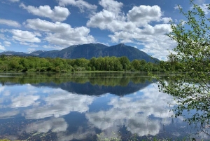 Vanuit Seattle: Pacific Northwest Watervallen & Wandeltocht