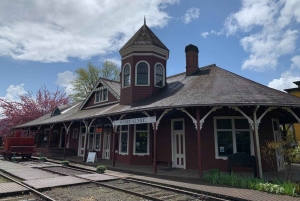 Vanuit Seattle: Pacific Northwest Watervallen & Wandeltocht