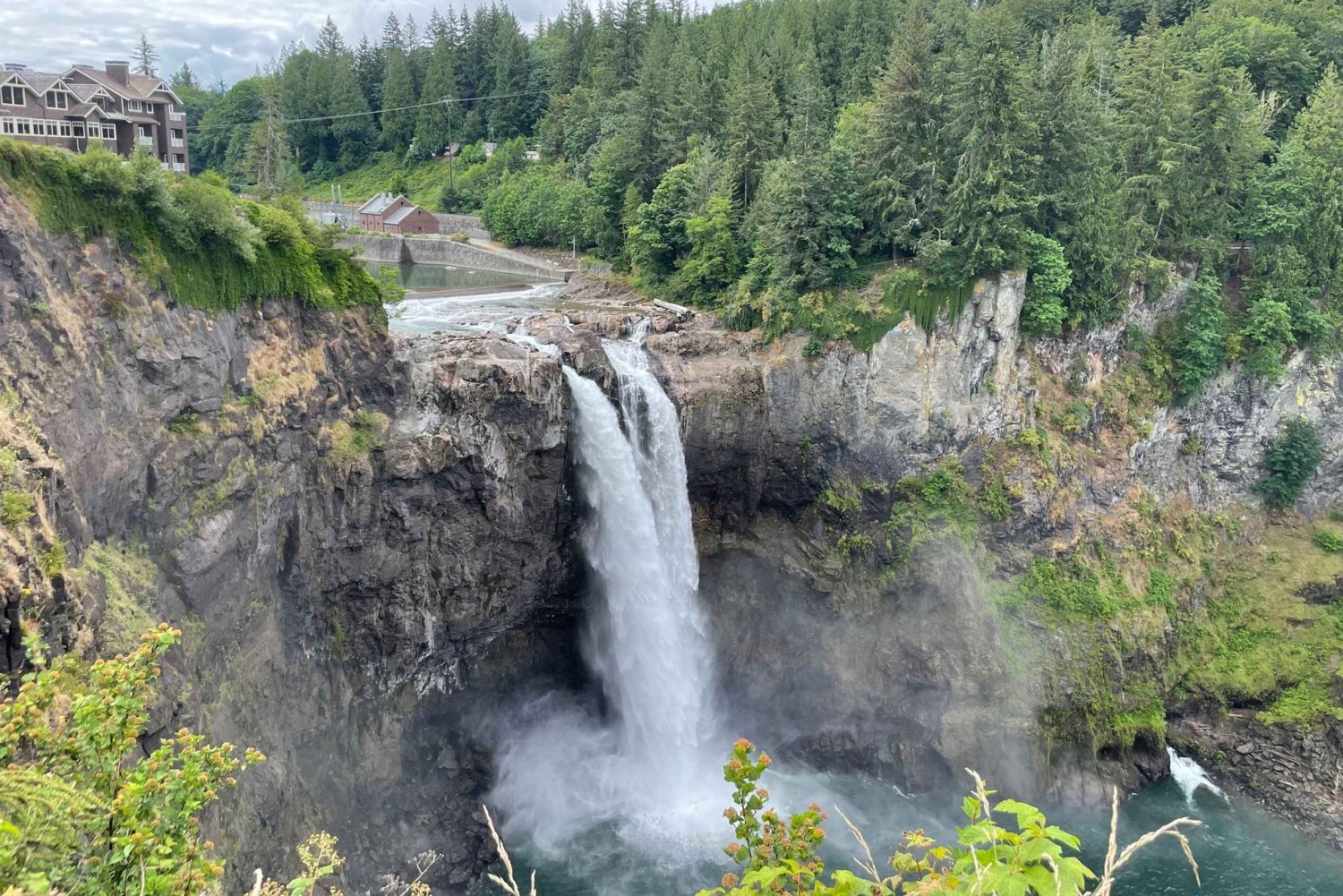 Da Seattle: Tour delle cascate di Snoqualmie e delle cantine con trasferimento