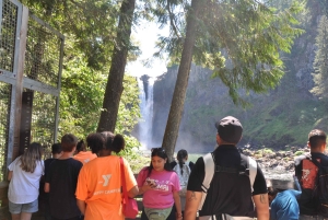 Da Seattle: Tour delle cascate di Snoqualmie e delle cantine con trasferimento