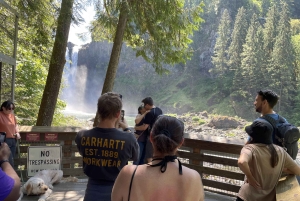 Da Seattle: Tour delle cascate di Snoqualmie e delle cantine con trasferimento