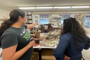 Da Seattle: Tour delle cascate di Snoqualmie e delle cantine con trasferimento