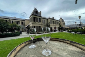 Da Seattle: Tour delle cascate di Snoqualmie e delle cantine con trasferimento