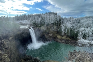 Da Seattle: Tour delle cascate di Snoqualmie e delle cantine con trasferimento