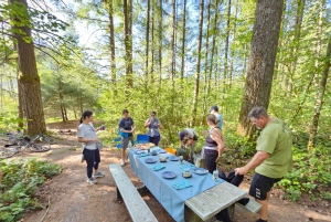 Из Сиэтла: живописный велосипедный тур по туннелю Сноквалми