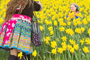 Aus Seattle: Tour zum Skagit Valley Tulip Festival