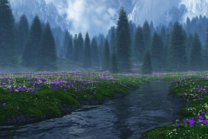 Depuis Seattle : Twilight Forks Washington Tour