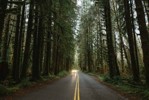 Depuis Seattle : Twilight Forks Washington Tour