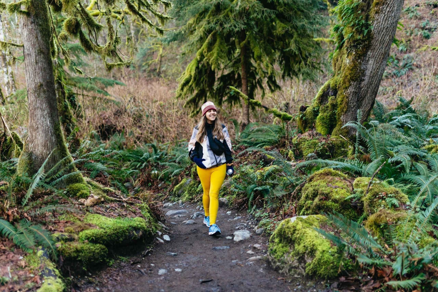 Fra Seattle: Besøk Snoqualmie Falls og gå tur til Twin Falls
