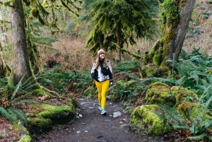 Fra Seattle: Besøk Snoqualmie Falls og gå tur til Twin Falls