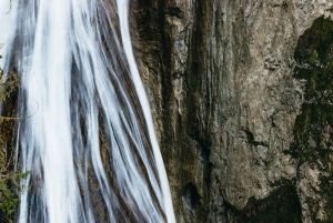Fra Seattle: Besøk Snoqualmie Falls og gå tur til Twin Falls