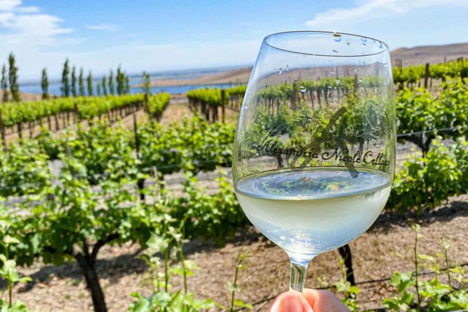 Vanuit Seattle - Wijnproeven, wijngaarden in het oosten van Washington