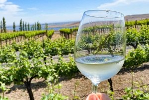 Vanuit Seattle - Wijnproeven, wijngaarden in het oosten van Washington