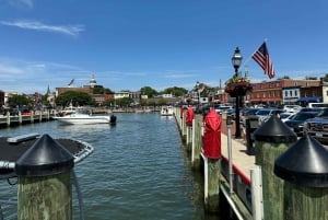 From Washington DC: Annapolis Day Trip with Guided Tour