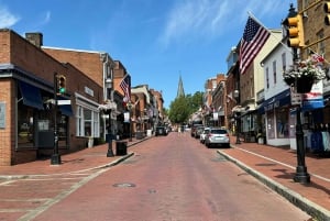 From Washington DC: Annapolis Day Trip with Guided Tour