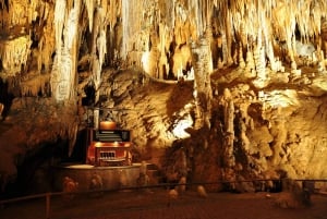 Desde Washington DC: Excursión de un día a las Cavernas de Luray