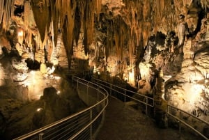 Desde Washington DC: Excursión de un día a las Cavernas de Luray
