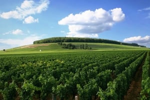 ワシントン DC 発：バージニアワインカントリーへのプライベート日帰り旅行