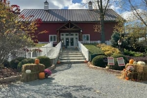 ワシントン DC 発：バージニアワインカントリーへのプライベート日帰り旅行