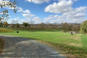 ワシントン DC 発：バージニアワインカントリーへのプライベート日帰り旅行