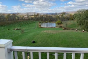 ワシントン DC 発：バージニアワインカントリーへのプライベート日帰り旅行