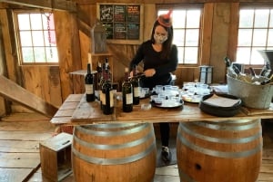 ワシントン DC 発：バージニアワインカントリーへのプライベート日帰り旅行