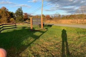 ワシントン DC 発：バージニアワインカントリーへのプライベート日帰り旅行