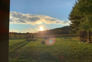 ワシントン DC 発：バージニアワインカントリーへのプライベート日帰り旅行