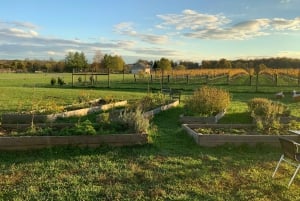 ワシントン DC 発：バージニアワインカントリーへのプライベート日帰り旅行