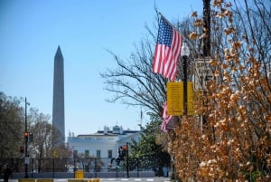 Tour di un giorno intero a Washington DC e Mount Vernon