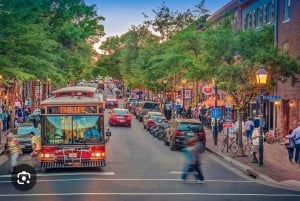 Excursão de 1 dia a Washington DC e Mount Vernon