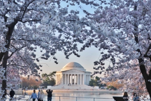 Full day Washington DC Tour from New York City