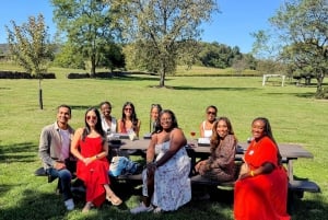 Excursion d'une journée complète dans les vignobles au départ de la région métropolitaine de Washington et de Leesburg - 3 vignobles