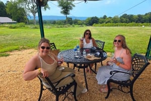 Excursion d'une journée complète dans les vignobles au départ de la région métropolitaine de Washington et de Leesburg - 3 vignobles