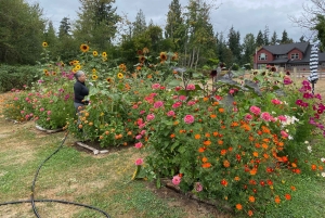 Graham: Faithful Hands -maatilakierros