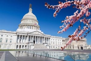 Große Tour durch Washington DC