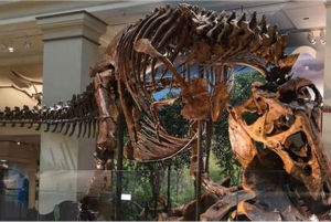 Guided Tour of The Natural History Museum