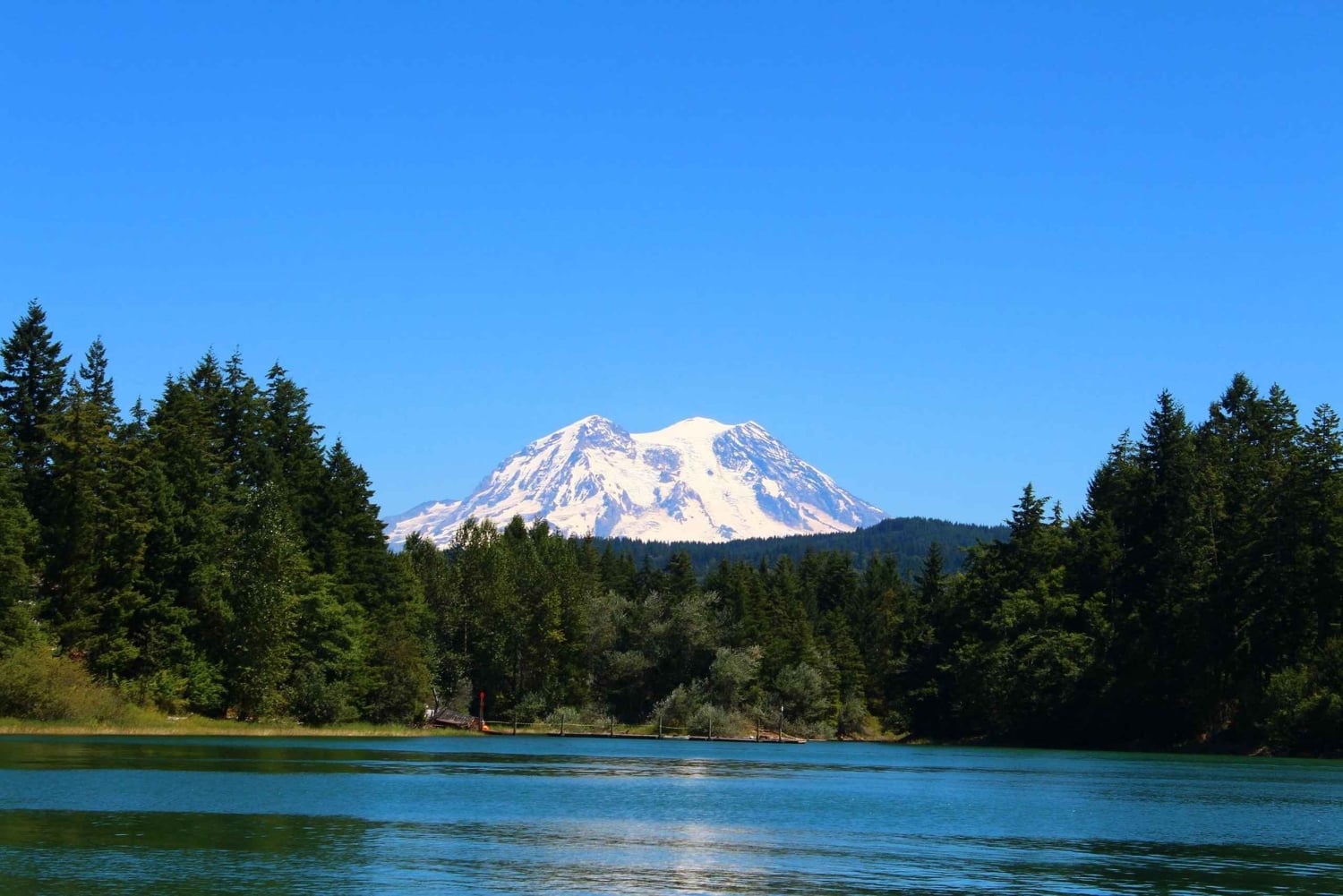 Vandring i Mount Rainier Privat tur fra Seattle
