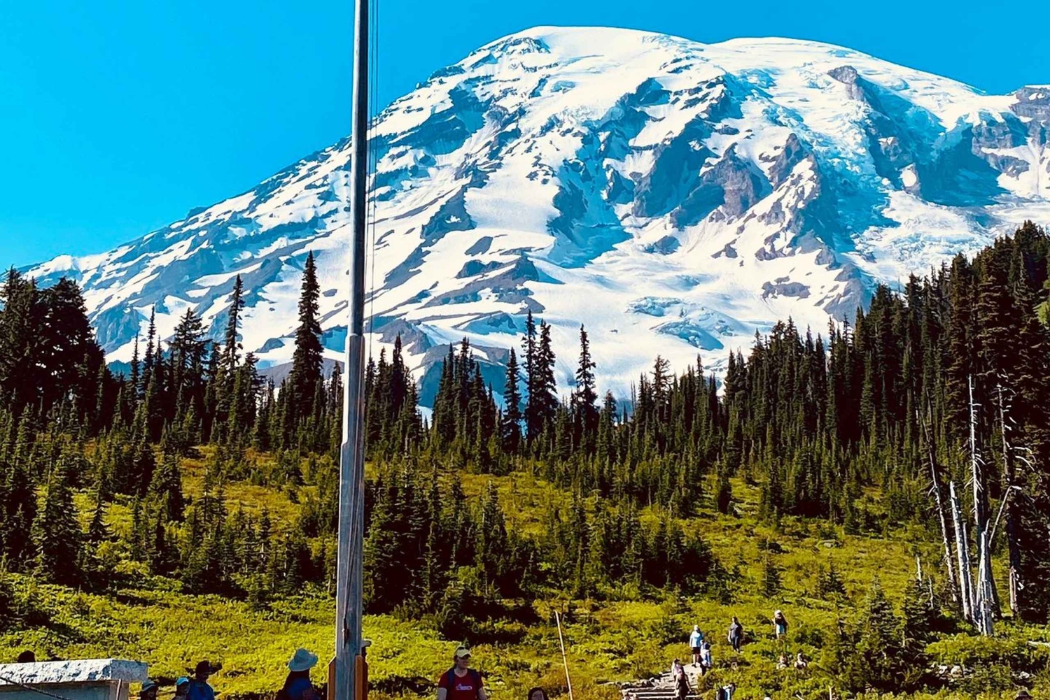 Vandring i Mount Rainier Privat tur fra Seattle