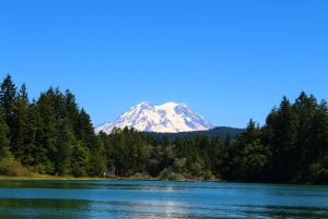 Vandring i Mount Rainier Privat tur fra Seattle