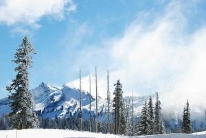 Vandring i Mount Rainier Privat tur fra Seattle