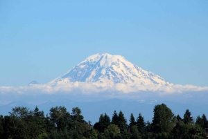 Vandring i Mount Rainier Privat tur fra Seattle