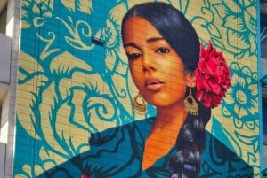 Historisk omvisning til fots i Tucson