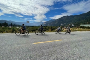 レブンワース：マウンテン ビュー ガイド付き E バイク ツアー