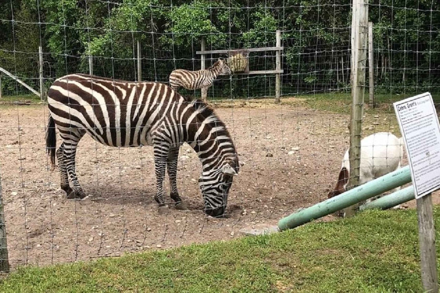 Long Island Farm & Vanderbilt Planetarium Tour | Børn 50 % rabat