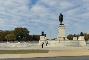 Mini Grand Tour af Washington DC